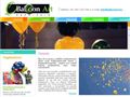 http://www.balloonart.hu ismertető oldala